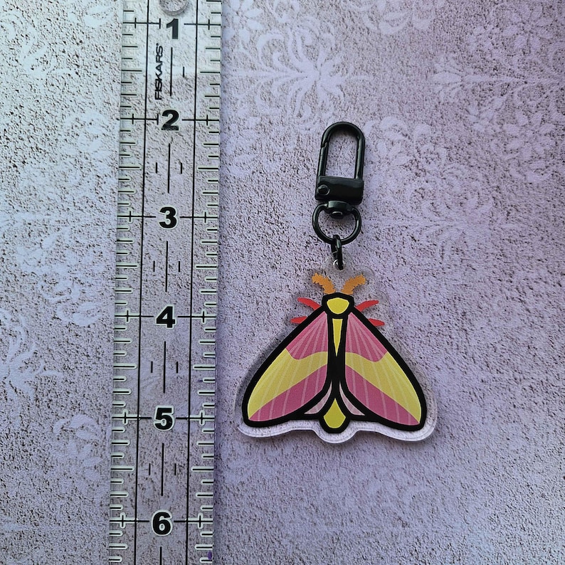 Moth Key Racks Moth Acrylic Keychains | Death's Head, Rosy Maple, Luna, and Atlas ...