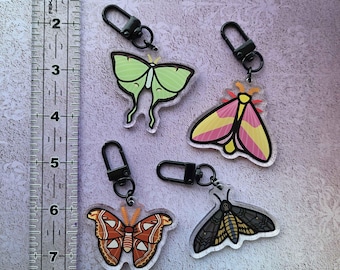 Moth Acrylic Keychains | Death's Head, Rosy Maple, Luna, and Atlas Moths