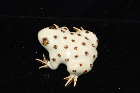 Pin on True Albino Animals