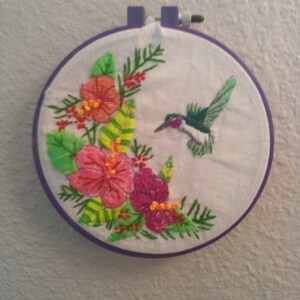 Hummingbird and Hibiscus
