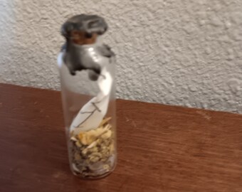 May include: A small, clear glass bottle with a dark stopper. The bottle contains dried herbs and a white paper with a drawing. The bottle is sitting on a wooden surface.