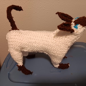 Siamese Cat
