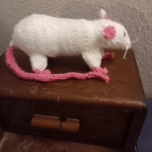 Rat