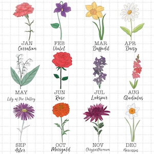 May include: A chart showing a different flower for each month of the year. January is a carnation, February is a violet, March is a daffodil, April is a daisy, May is a lily of the valley, June is a rose, July is a larkspur, August is a gladiolus, September is an aster, October is a marigold, November is a chrysanthemum, and December is a narcissus.
