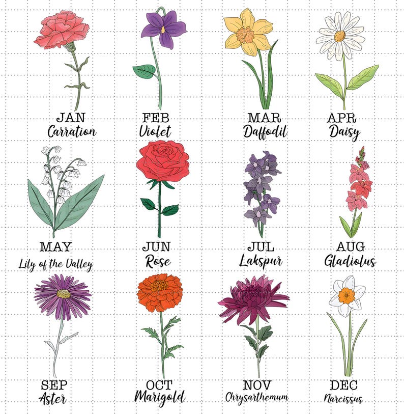 May include: A chart showing a different flower for each month of the year. January is a carnation, February is a violet, March is a daffodil, April is a daisy, May is a lily of the valley, June is a rose, July is a larkspur, August is a gladiolus, September is an aster, October is a marigold, November is a chrysanthemum, and December is a narcissus.