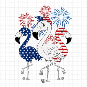 Fuegos artificiales de flamenco del 4 de julio (SVG), 1776 (SVG), Patriótico estadounidense, El 4 de julio, SVG, Archivos PNG para sublimación de Cricut