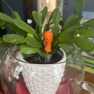 May include: A small orange ceramic chicken leg ornament is stuck into the soil of a green cactus plant in a white pot. The pot is inside a clear glass container with a red saucer.