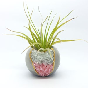 Puede incluir: Una pequeña maceta redonda de hormigón gris con una abertura en forma de corazón con bordes dorados, llena de cristales transparentes y rosas. La maceta contiene una planta aérea verde con hojas largas y delgadas. El fondo es blanco.