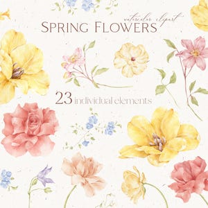 Clipart di fiori primaverili ad acquerello, perfetto per inviti di nozze, progetti di branding, loghi PNG, delicati fiori tulipani, collezione di rose
