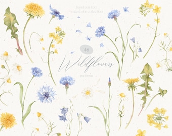 Watercolor Wildflowers Clipart Elements, Meadow Flowers PNG, Summer Wedding Invites, Cornflowers, Daisies, Dandelions PNG