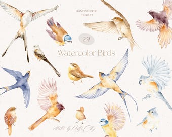 Watercolor Birds Clipart PNG: 29 Hand-Painted Illustrations (Digital Download)