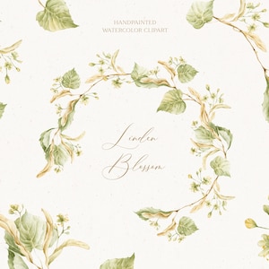 May include: Hand-painted watercolor clipart of linden blossom branches with green leaves and yellow flowers. The text "Linden Blossom" is written in cursive script.