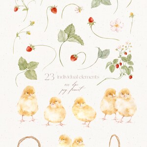 May include: Watercolor clipart set titled "Strawberry Chicks" featuring illustrations of strawberries, leaves, flowers, chicks, and woven baskets. The image includes the text "23 individual elements" and "watercolor clipart".