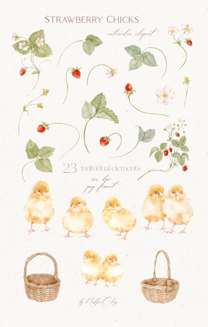 May include: Watercolor clipart set titled "Strawberry Chicks" featuring illustrations of strawberries, leaves, flowers, chicks, and woven baskets. The image includes the text "23 individual elements" and "watercolor clipart".