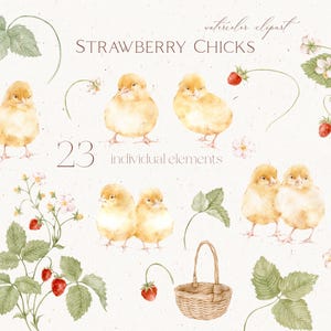 May include: Watercolor clipart featuring yellow chicks, strawberries, green leaves, and white flowers. The text "STRAWBERRY CHICKS" and "23 individual elements" are also included. A woven basket is also present.