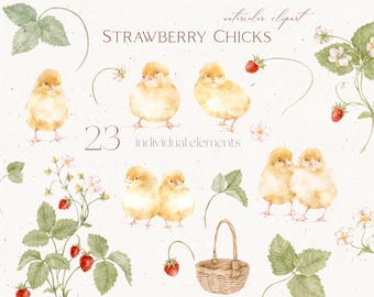 Watercolor Baby Chicks Clipart: Strawberry Blossom PNG (Commercial Use)