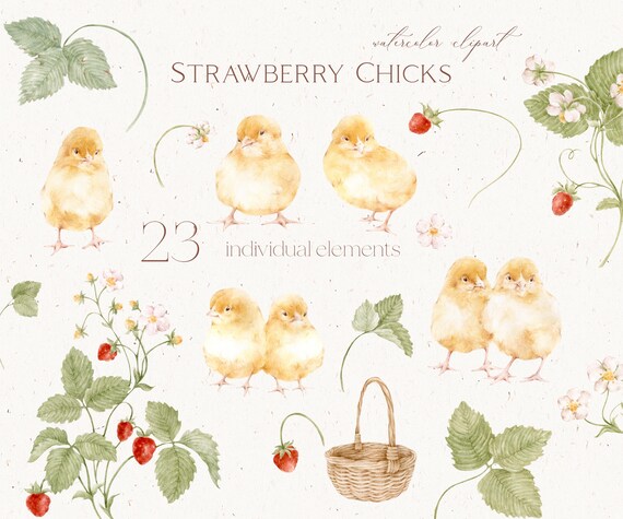 Watercolor Baby Chicks Clipart: Strawberry Blossom PNG (Commercial Use)