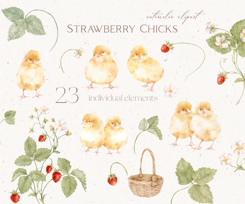 May include: Watercolor clipart featuring yellow chicks, strawberries, green leaves, and white flowers. The text "STRAWBERRY CHICKS" and "23 individual elements" are also included. A woven basket is also present.