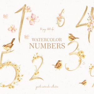 Números de aniversário Floral Clipart, Cartões de chá de bebê de berçário, Números de flores de primavera e pássaros Aquarela PNG, Clipart digital de flor de macieira