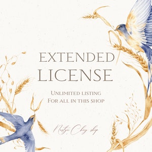 Commercial License All This Shop listing Unlimited with NO CREDIT