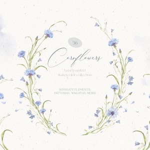 Könnte beinhalten: Eine Aquarell-Illustration von 36 handgemalten Kornblumen. Die Illustration zeigt blaue Kornblumen mit grünen Stielen und Blättern. Der Text "36 Cornflowers" ist in kursiver Schrift geschrieben. Der Text "handgemalte Aquarell-Kollektion" steht unter dem Titel. Der Text "SEPARATE ELEMENTS, PATTERNS, WREATHS, MORE" steht unter der Beschreibung der Kollektion.
