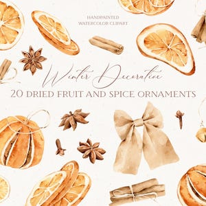 Winter Decorative Dried Fruit and Spice Ornaments Clipart, Watercolor Dry Orange, Cinnamon PNG, Watercolor Winter Clipart, Christmas PNG