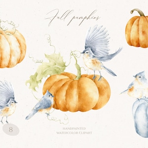 Aquarelle citrouilles et oiseaux Clipart, clipart citrouille automne, aquarelle automne png, mésange bleue bohème PNG, dessins par sublimation, téléchargement numérique