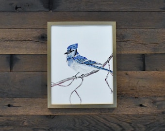 ブルージェイの水彩画：ファインアートの鳥のプリント - Etsy 日本