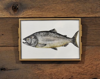 Impresión de acuarela de pez salmón real Chinook 4 x 6