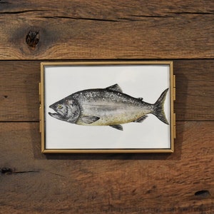 Chinook King Salmon Fisch 4 x 6 Aquarell Druck