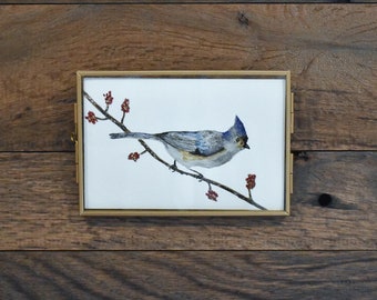 Tufted Titmouse Wild Bird 4x6 Watercolor Print