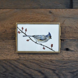 Tufted Titmouse Wild Bird 4x6 Watercolor Print