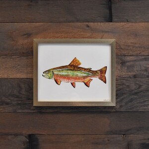 Brook Trout 8x10 Watercolor Print