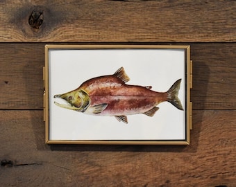Sockeye Salmon Fish 4x6 Watercolor Print