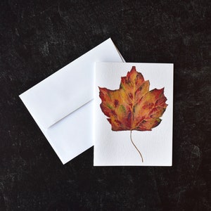 Maple Leaf Blank Greeting Cards