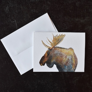 Moose Blank Greeting Cards