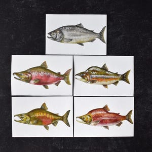 100x150 Aquarell Druck in Lachs
