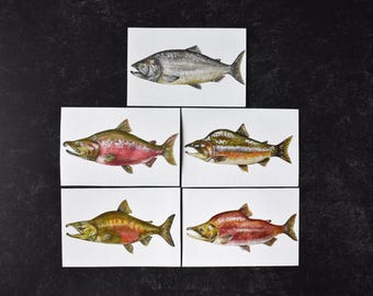 Salmon 4x6 Watercolor Prints