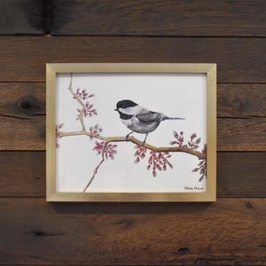 Chickadee Wild Bird 8x10 Watercolor Print