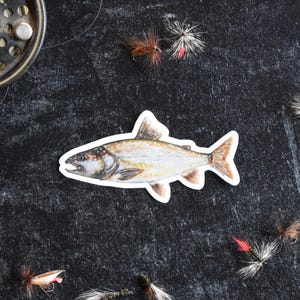 Lake Trout Fish Watercolor Vinyl Sticker