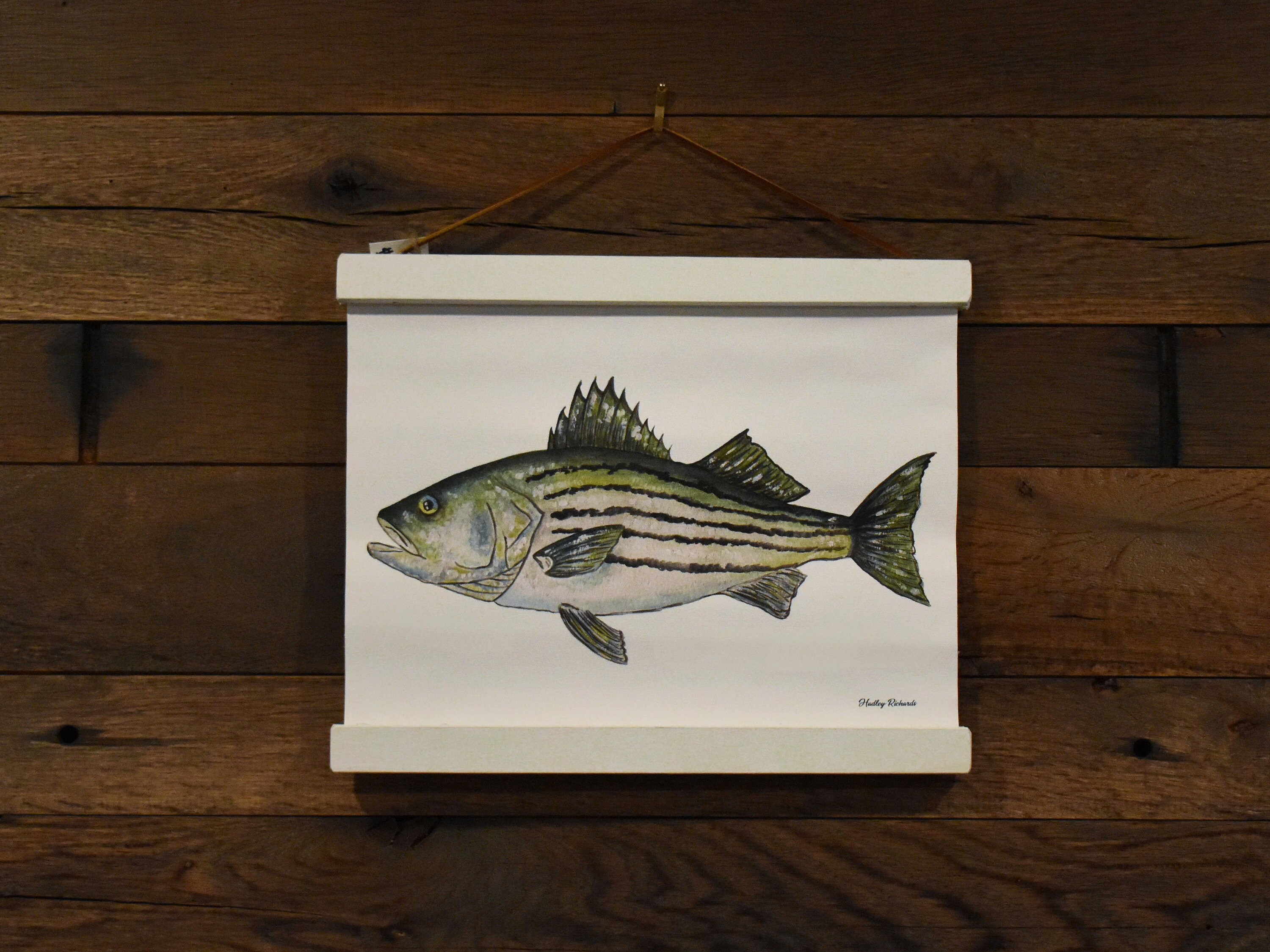 Large Mouth Bass Wall Hanging -  New Zealand
