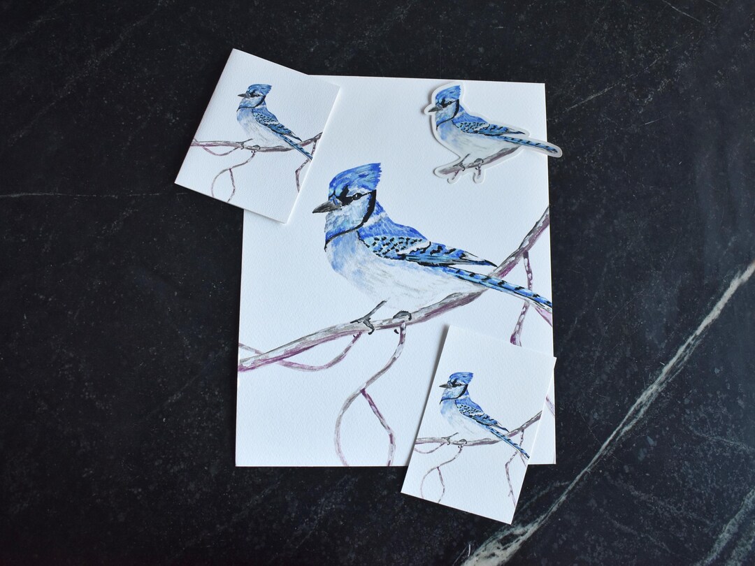 Jay R Prints Blue Jay Wild Bird Watercolor Prints, 4x6, 8x10, and 11x14 - Etsy