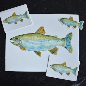 Rainbow Trout Fish Watercolor Prints, 4x6 and 11x14