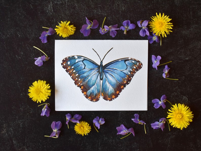Blue Morpho Butterfly Blank Greeting Cards - Etsy