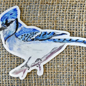 Blue Jay Wild Bird Watercolor Vinyl Sticker