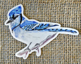 Blue Jay Wild Bird Watercolor Vinyl Sticker