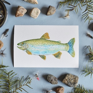 Rainbow Trout 4x6 Watercolor Print