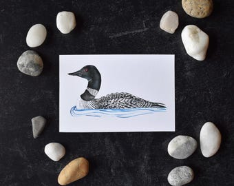 Loon 4x6 Watercolor Print
