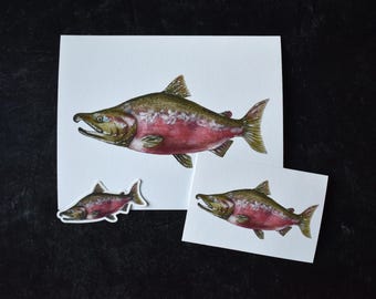 Coho Salmon Fish Watercolor Prints - 4x6, 8x10