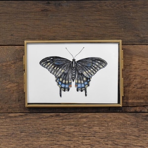 May include: A framed print of a butterfly. The butterfly's wings are black and grey with blue and white details. The frame is gold-coloured and rectangular. The background is a wooden surface.